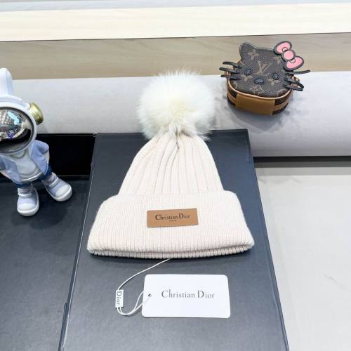Dior Hats AAA-1406