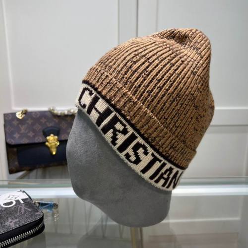 Dior Hats AAA-1369