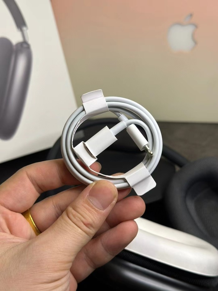 Air Pods MaX in