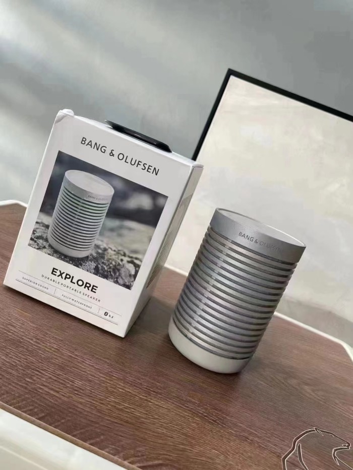 Bang & Olufsen (B&O)EXPLORE