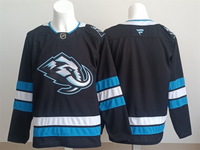 NHL New jerseys-238