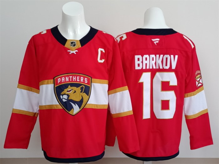 NHL New jerseys-246