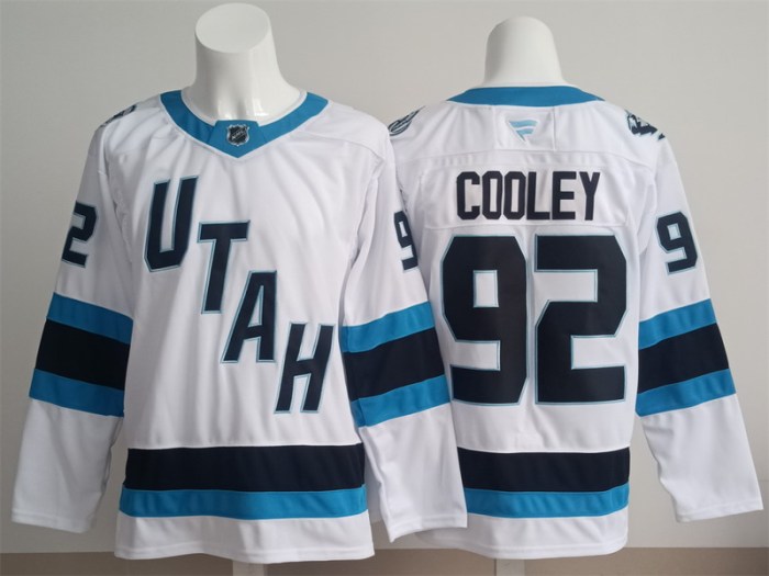NHL New jerseys-240