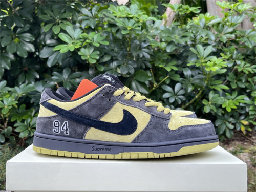 Nike Dunk shoes women low-2229