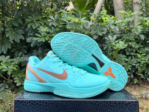 Authentic Jalen Brunson's Nike Kobe 6  Statue of Liberty  PE