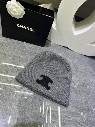Celine Hats AAA-1608