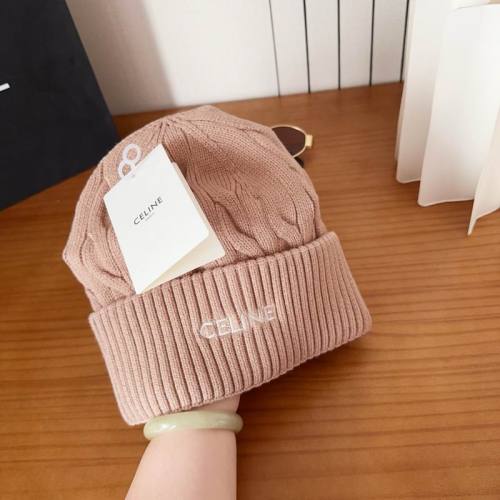 Celine Hats AAA-1678