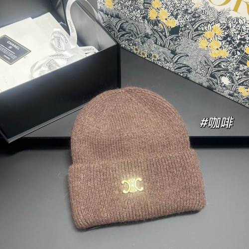 Celine Hats AAA-1627