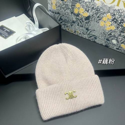 Celine Hats AAA-1622