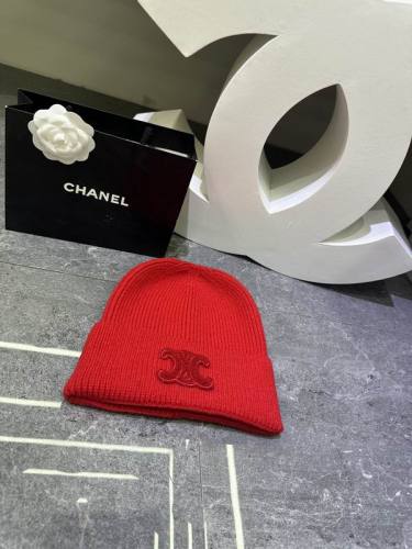 Celine Hats AAA-1607