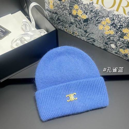 Celine Hats AAA-1631