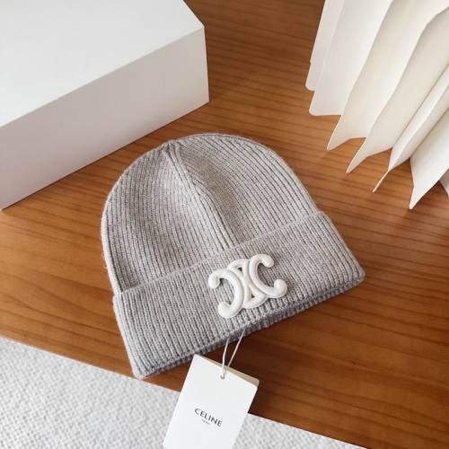 Celine Hats AAA-1598