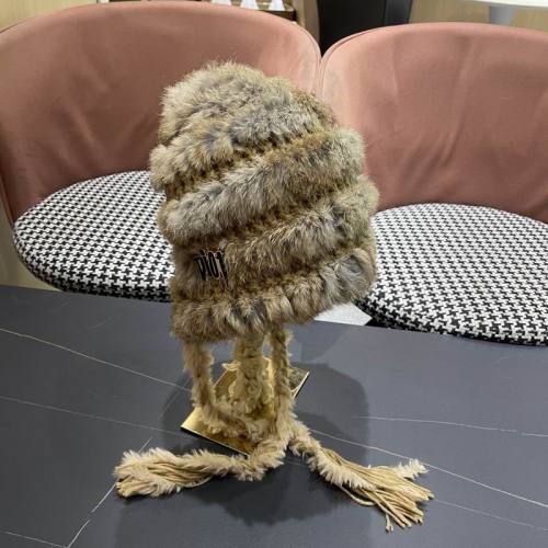 Dior Hats AAA-1443