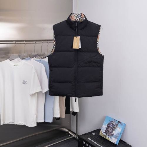 Burberry Down Coat men-379(S-XXL)