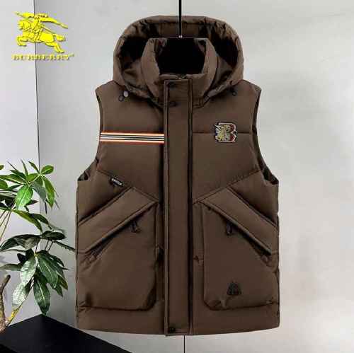 Burberry Down Coat men-435(M-XXXL)