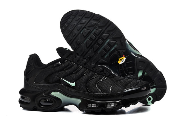 Nike Air Max TN Plus men shoes-1933