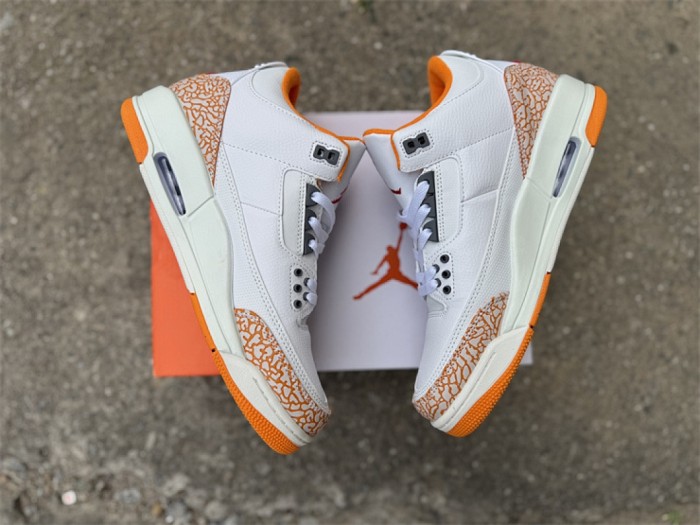Super Max Perfect Jordan 3 shoes-032