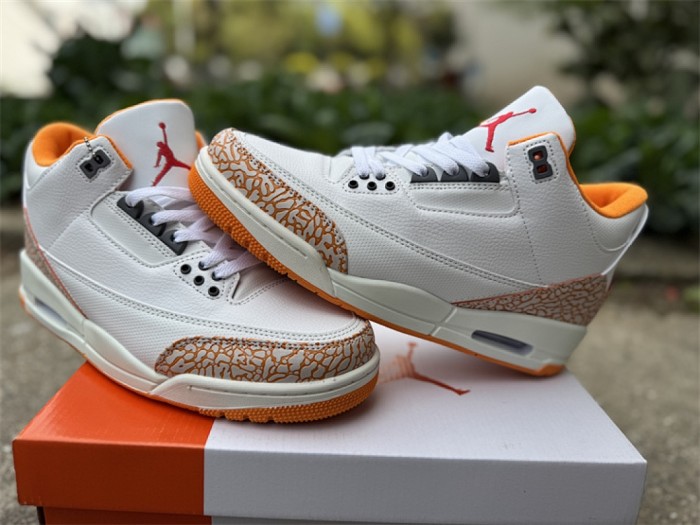 Super Max Perfect Jordan 3 shoes-032