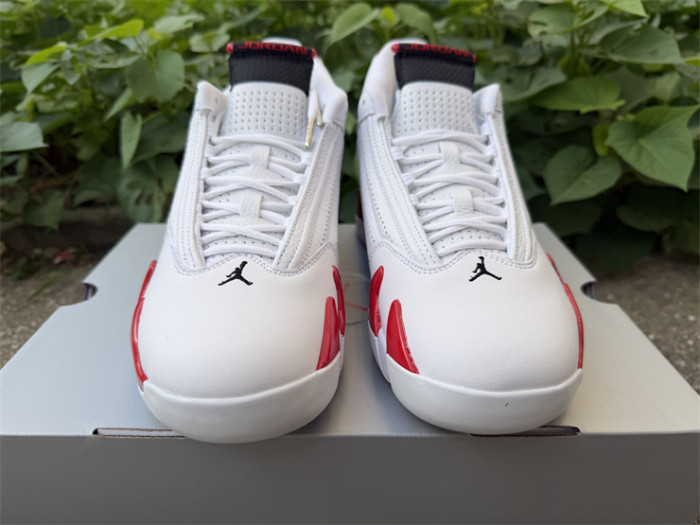 Authentic Air Jordan 14 Retro Rip Hamilton