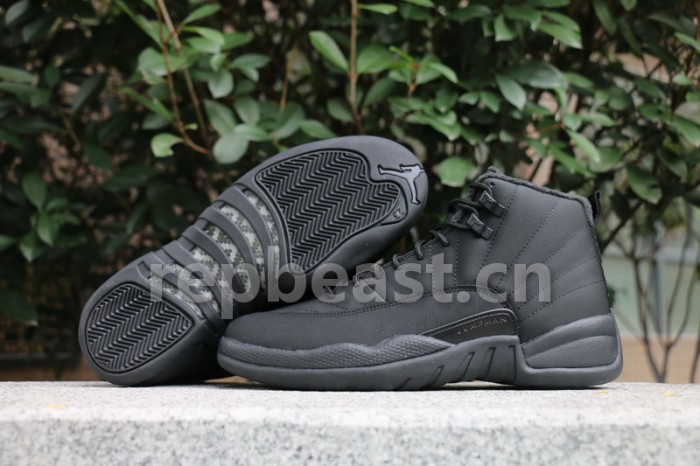Authentic Air Jordan 12 WNTR