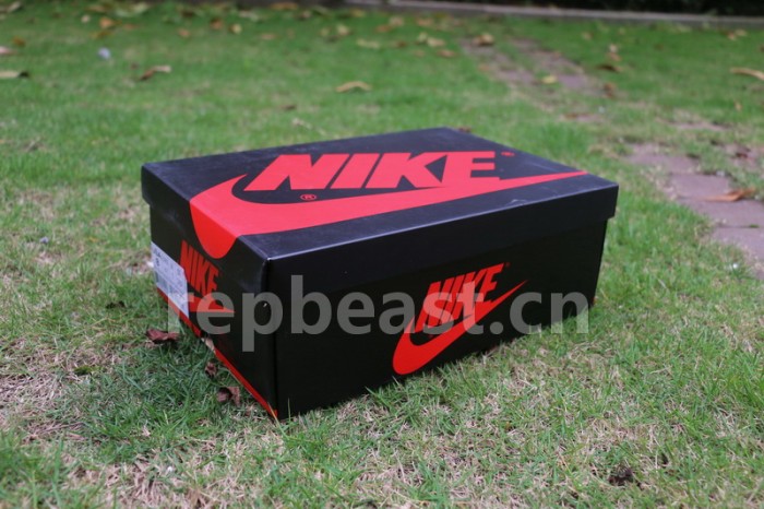 Authentic Air Jordan 1 “Turbo Green”