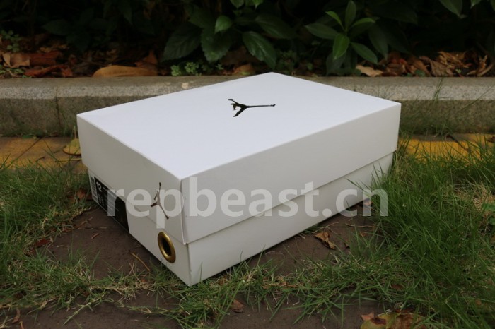Authentic Air Jordan 5 “Wings”