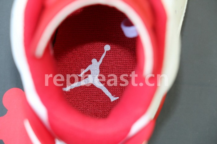 Authentic Air Jordan 6 Alternate