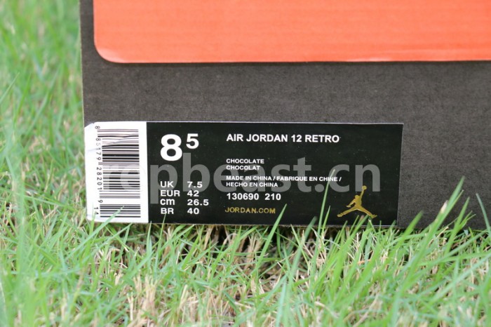 Authentic Air Jordan 12 Chocolate