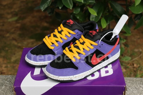 Authentic  Nike SB Dunk Low “ACG”