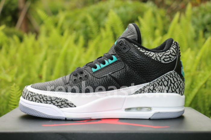 Authentic  Air Jordan 3 Atmos Elephant