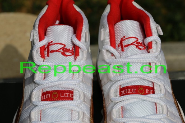 Authentic Air Jordan XI  Ray Allen