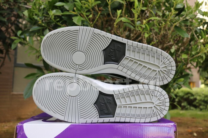 Authentic Nike SB Dunk Low J-Pack “Shadow”