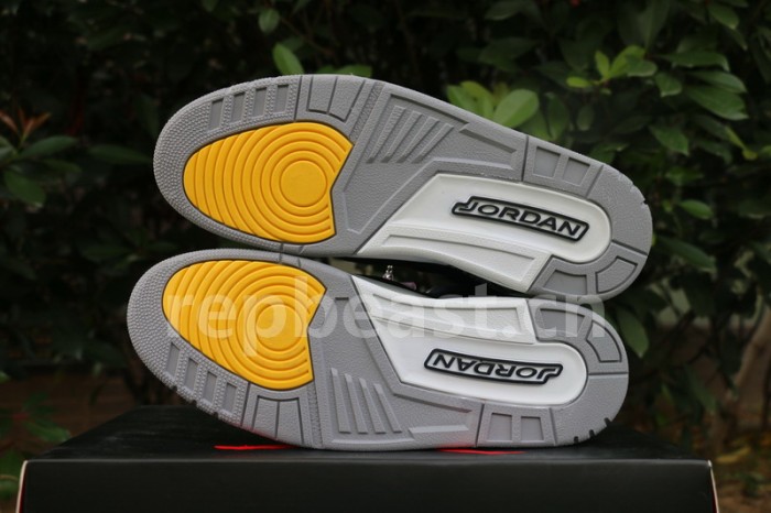 Authentic Air Jordan 3 Michigan
