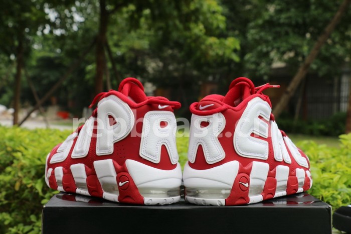 Authentic Supreme x Nike Air More Uptempo Red