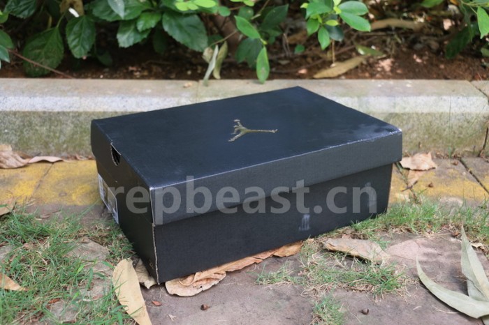 Authentic Air Jordan 1 Low CJ4152-101