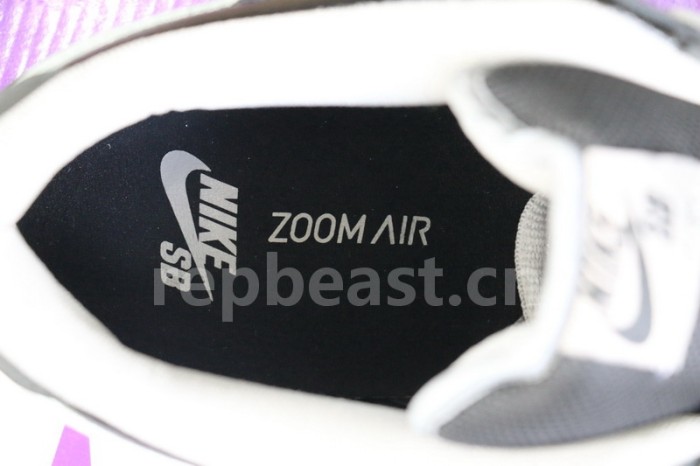 Authentic Nike SB Dunk Low J-Pack “Shadow”