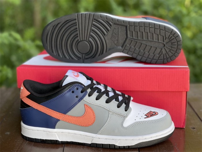 Authentic Nike Dunk Low “EKIN”