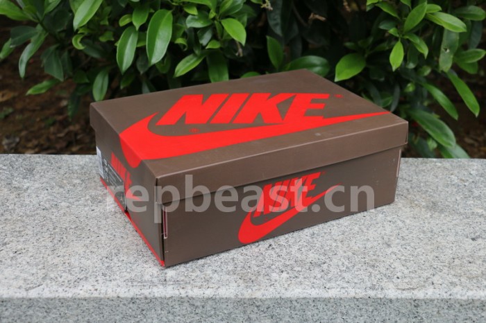 Authentic Travis Scott x Air Jordan 1 High OG TS SP