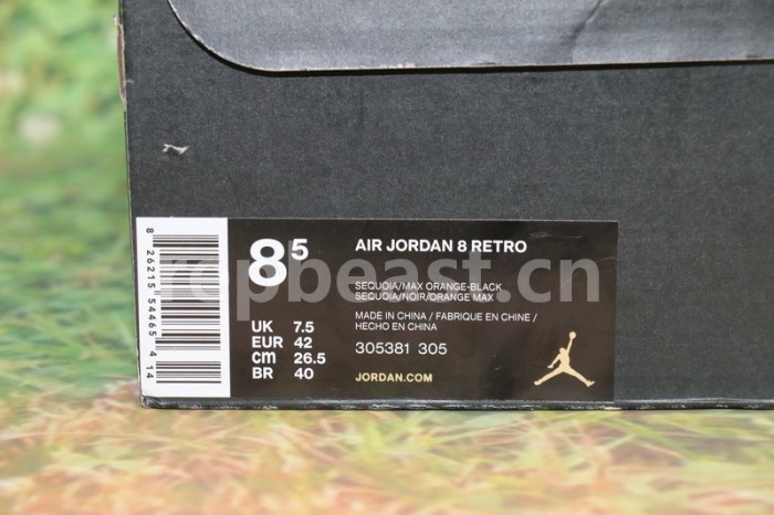 Authentic Air Jordan 8 “Take Flight”