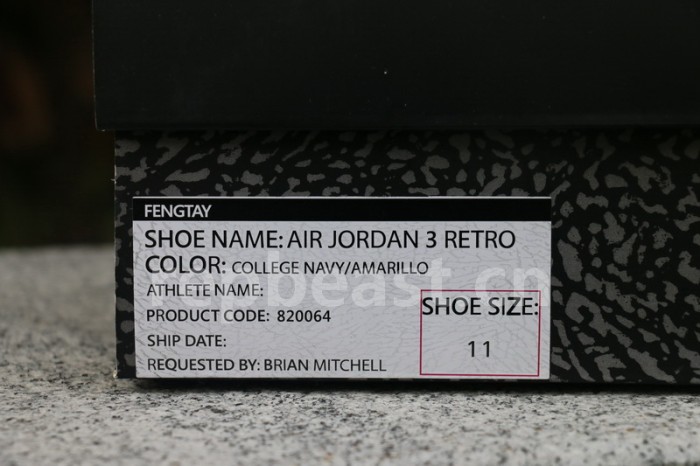 Authentic Air Jordan 3 Michigan