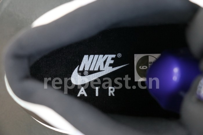 Authentic Air Jordan 11 “Concord” Retro 2018