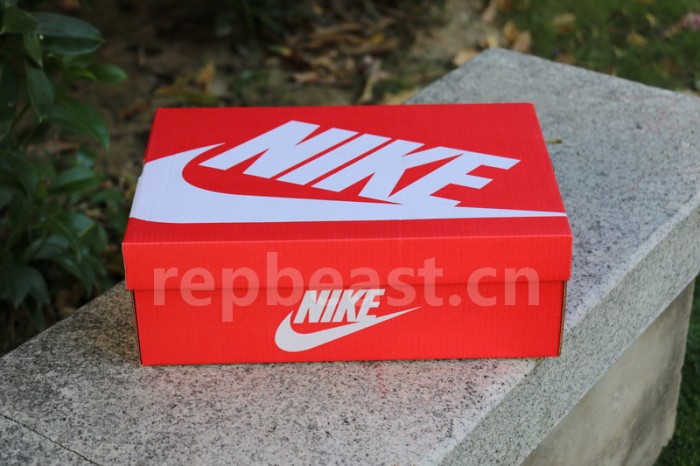 Authentic Kasina x Nike Dunk Low