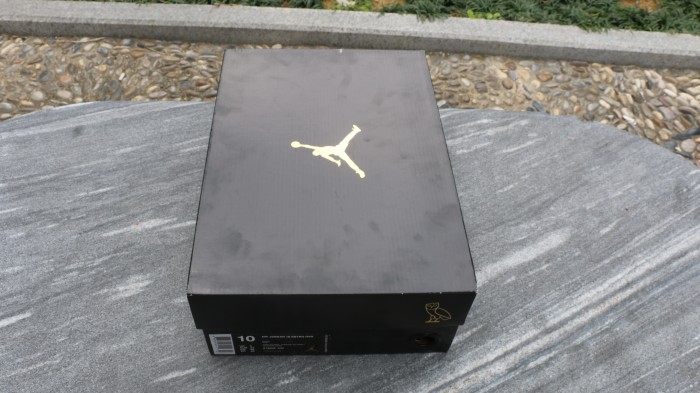 Authentic Air Jordan 10 “OVO” Black