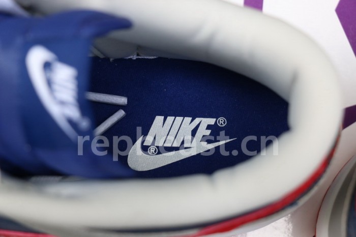 Authentic Nike Dunk Low “Samba”