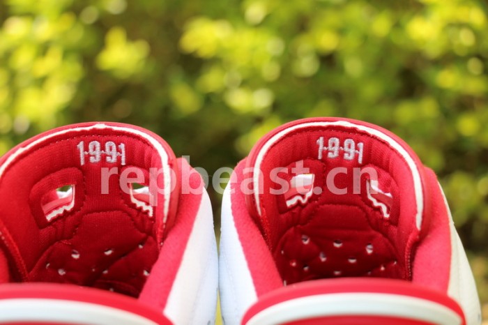 Authentic Air Jordan 6 Alternate
