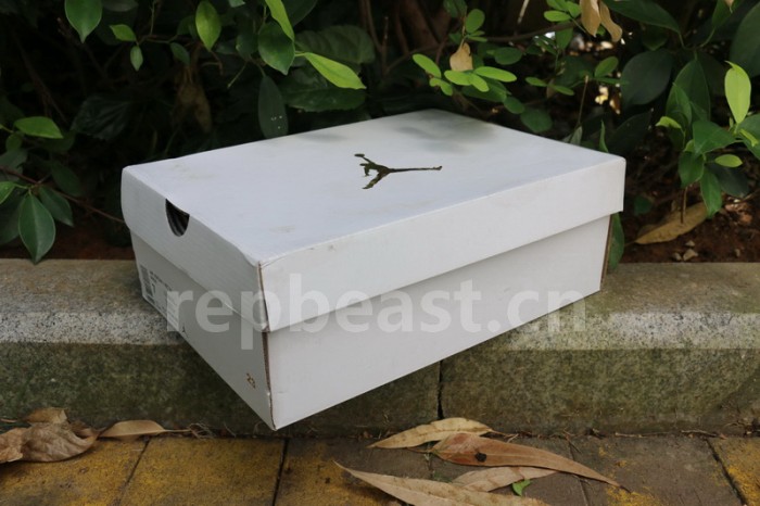 Authentic Air Jordan 1 PRM “Blue Void”