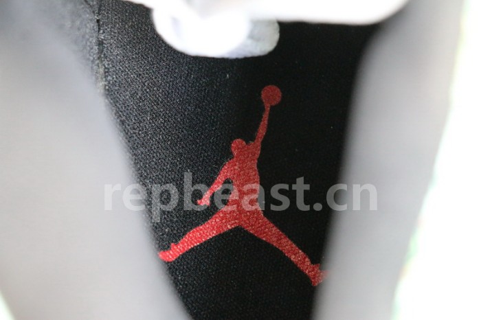 Authentic Air Jordan 5 “Wings”