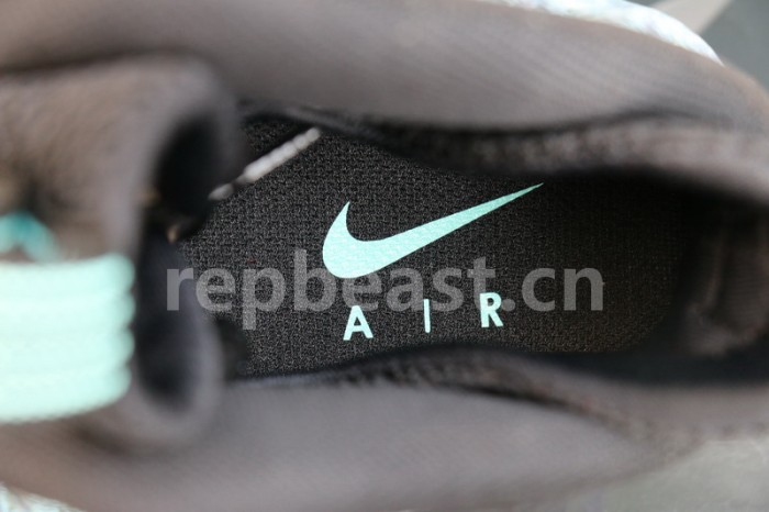 Authentic Air Foamposite PRM Abalone