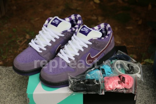 Authentic Nike Dunk SB Concepts Purple Lobster