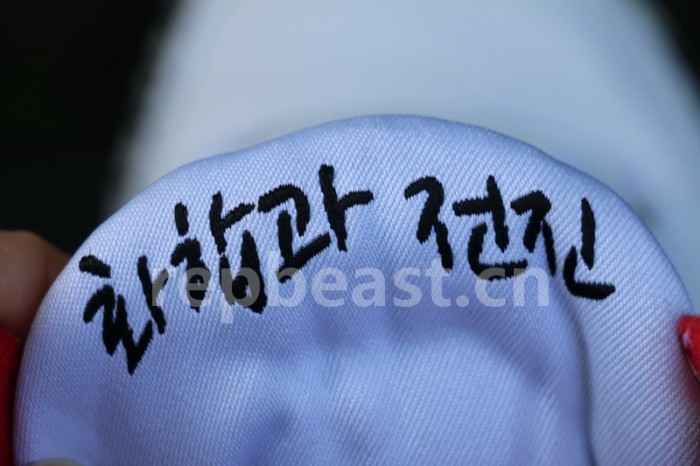Authentic Air Jordan 3 Retro Seoul